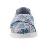 TOMS DINO FLUORESZKÁLÓS szürke/kék tépős gumis cipő